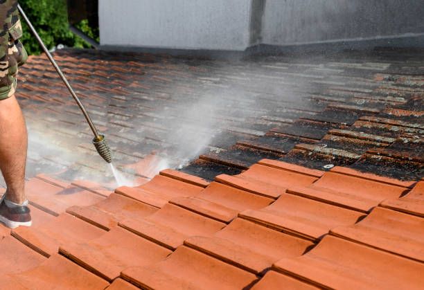Best Roof Pressure Washing  in Palmer Ranch, FL